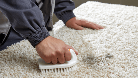 Professional Rug Cleaning Keysborough